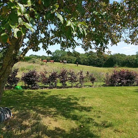 Suzies Self Catering Belmont Lägenhet Belmont  Rum bild